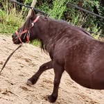 Amy Ewald - @amyistcool1 - Instagram