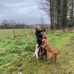 Amy Ewart - @amy_ewart22 - Instagram