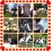 Amy Ewers - @amyewers2 - TikTok