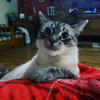 user5830612813178 - @amyewers - TikTok