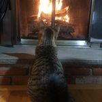 Amy Eyler-Pelletier - @fleurkin163 - Instagram