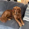 amyfabry - @amyfabry - TikTok