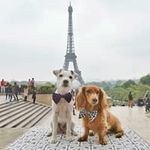 Amy Fabre - @fabreamy - Instagram