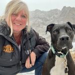 Amy Fain Gerber - @agerber_cubcreekphotography - Instagram