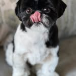 amyfain2001 - @amyfain2001 - Instagram