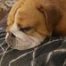 Amy Fairhurst - Facebook