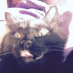 Amy Fairweather - @amyfair55 - Instagram