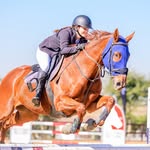 ~ Amy & Novelty ~ - @amy.falcon.eq - Instagram