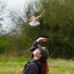Amy - @amy.falconry.nerd - Instagram