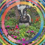 Amy Hanlein Falcon - @oymmom - Instagram