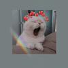 amy fallin - @amy.fallin - TikTok