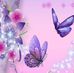 Amy Falls - Facebook