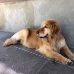 Amy Falls - @amy.falls.315 - Instagram