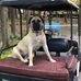 Scott Amy Feather - Facebook