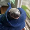 Amy Red feather - @amy.red.feather - TikTok