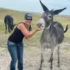 amyfeathers76 - @amyfeathers76 - TikTok