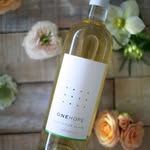 Amy Fedor - @one_hope_winewithamy - Instagram