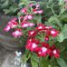 Amy Feider - Facebook