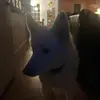 amy Ficks - @amyficks - TikTok