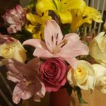 Amy Fielder - @no_filter77 - Instagram