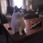Amy Fielder - @amyf.ielder - Instagram