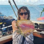 Amy Flaherty - @amyinsitu - Instagram