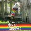amyflahertykraus - @amyflahertykraus - TikTok