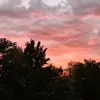 Amy Freitag - @amyfreitag8 - TikTok