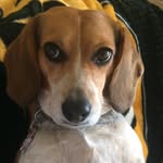 Amy Freitag - @amyfreitag76 - Instagram