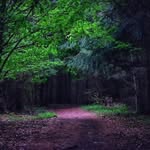 Amy Sarah Friedman - @amyfriedman54 - Instagram