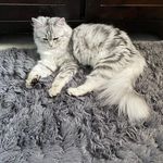 Amy Frith - @richempressempire - Instagram