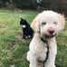 Amy Frith - Facebook