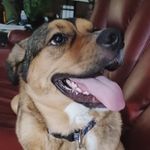 Amy Frith Burriss - @muppetfan13 - Instagram