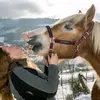 amy.fuchs - @amy.fuchs - TikTok