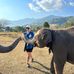 Amy Fyfe - Facebook