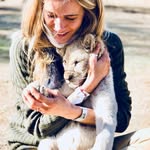 Amy Fyfe - @amy_d_fyfe - Instagram