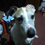 Amy Gaffney - Facebook