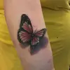 amy gage - @amygage2 - TikTok