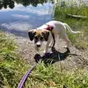 Amygg4602 - @amygage13 - TikTok