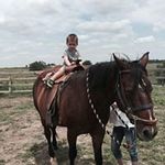 Amy Gale - @gale6403 - Instagram