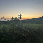 AmyGalligan_1223 - @amygalligan_1223 - Instagram