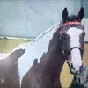 Amy Garbett - @2180857312 - TikTok