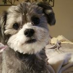 Amy Gebhardt - @amyagebhardt - Instagram