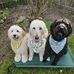 Amy Gebhardt - Facebook
