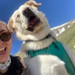 Amy Gilliland - @amyygilliland - Instagram