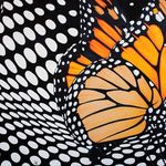 Amy Moreillon-Gilliland - @monarch_by_amyg - Instagram