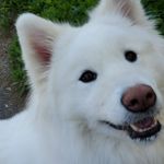 Amy Gilman - @goodgirl_kuri - Instagram