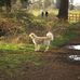 Amy Grewell - Facebook