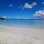 Amy Griggs - @griggs5464 - Instagram