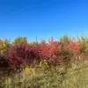 Amy Griggs - @amy.griggs - TikTok
